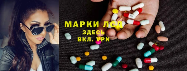 стаф Новокубанск